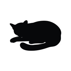 silhouette of a cat