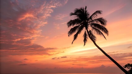 sunset over the sea