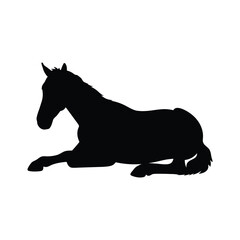 silhouette of a horse