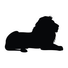 lion vector illustration
