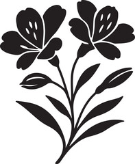 Two alstroemeria flowers silhouette vector, Floral black and white illustration