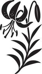 Lily flower vector with leaves and bud, Elegant black floral silhouette