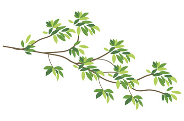 isolated leaves on white background vector design