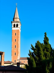 Fototapeta premium high tower Santa Anastasia in Verona. Blue sky and clear in the background, roofs and green trees near and around tawer