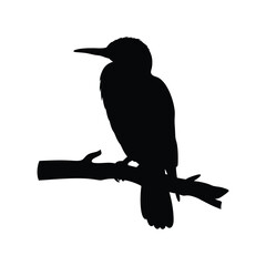 silhouette of a bird