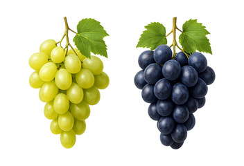 Two bunches of fresh grapes green and purple isolated on transparent background