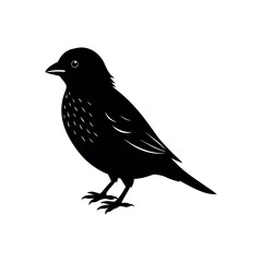 A barbet Bird's silhouette art vector illustration.