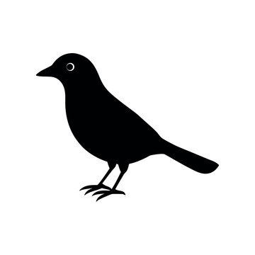 A bellbird Bird's silhouette art vector illustration.