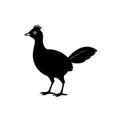 Obraz premium A chachalaca Bird's silhouette art vector illustration.