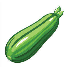 zucchini fresh vegetable