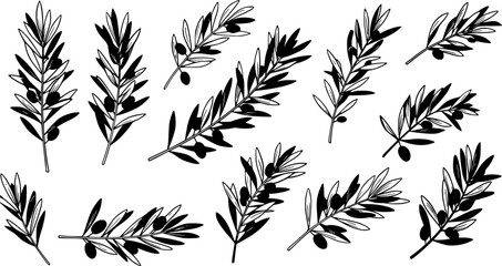 Naklejka premium Set of olive branch silhouette vector illustration