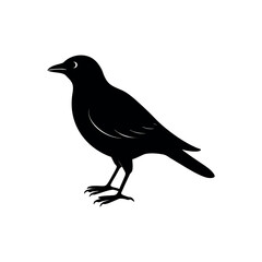A gerygone Bird's silhouette art vector illustration.