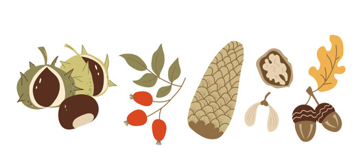 Vector illustration of autumn harvest elements: chestnuts, acorns, walnuts, berries, and leaves. Perfect for seasonal designs, food concepts, and nature themes.