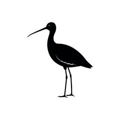 Fototapeta premium A godwit Bird's silhouette art vector illustration.