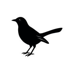 Obraz premium A leafbird Bird's silhouette art vector illustration.