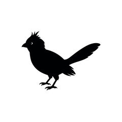 Fototapeta premium A mousebird Bird's silhouette art vector illustration.