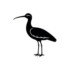 Naklejka premium A whimbrel Bird's silhouette art vector illustration.