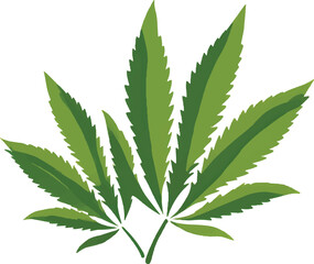 The green leaves are a symbol for hemp plants, set against a white background