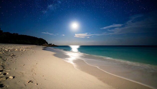 Moonlight beach under starry sky