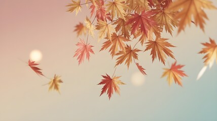 autumn leaves background,red maple leaves,autumn leaves on the ground,maple leaves background,