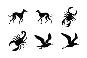 Obraz premium Animal silhouette pack with elegant form and detail Silhouette Vector illustration