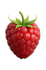 Raspberry fruit 3d high quality realistic image