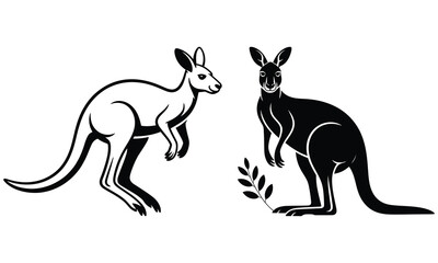 kangaroo vector illustration