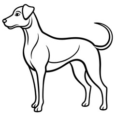Elegant dog silhouette standing profile isolated on white background