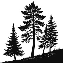 Three pine trees silhouette isolated on white background