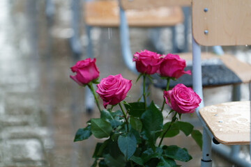 red roses and frozen chairs during the rain at an outdoor event © talavietis
