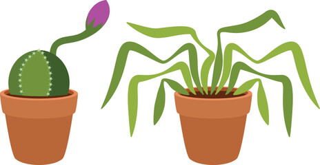 Set of small indoor plants in pots. on white background. 