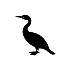 Fototapeta premium A cormorant Bird's silhouette art on vector illustration.