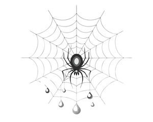 black spider with spider web vector on white background