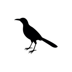Obraz premium A friarbird Bird's silhouette art on vector illustration.