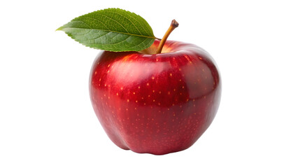 Shiny Red Apple