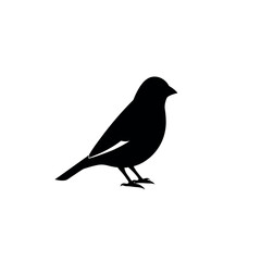 Obraz premium A goldfinch Bird's silhouette art on vector illustration.