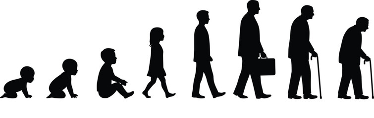 The stages of a man's life cycle, from baby to senior, showing growth, aging process, and human development illustration.