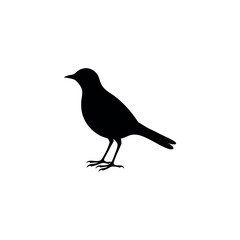 Obraz premium An ovenbird Bird's silhouette art on vector illustration.