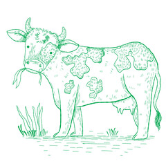 cow on a meadow