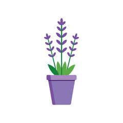 Obraz premium Lavender Plant in a Purple Pot Simple Vector Illustration on White on white background
