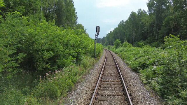 Flying over railroad tracks in the forest