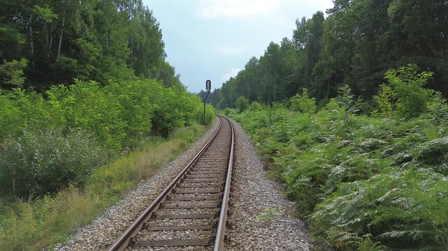 Flying over railroad tracks in the forest