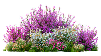 Colorful flowering bushes in a lush garden arrangement