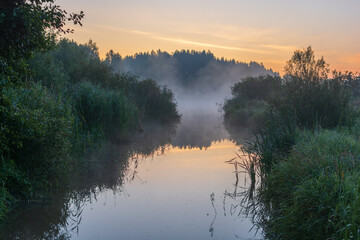 Fototapeta premium sunrise over the small river in the forest 
