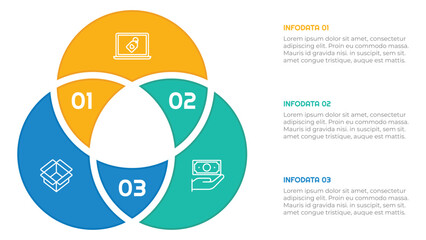 3 Options or Steps Infographic Element for presentations, reports, and web