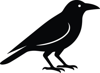 Silhouette crow standing black shape isolated bird vector illustrator
