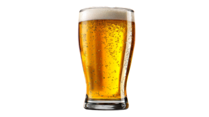 Refreshing beer served in a clear glass with bubbles