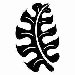 Black and white vector icon of curved leaf spine with lobed shape
