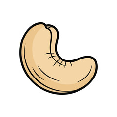 Fototapeta premium Creamy Cashew Nut Kernel. This rich anacardium seed offers a wholesome, natural diet option. It symbolizes a delicious, nutritious treat and beneficial sustenance.