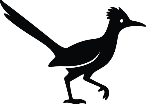 Silhouette roadrunner bird walking wildlife avian species vector illustrator